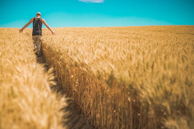 Nawozy organiczne – najlepsza możliwość?